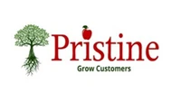 Pristine Infotech
