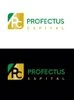 Profectus Capital Private Limited