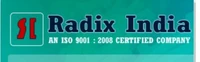 Radix Website Solutions
