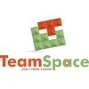 TeamSpace Financial services Pvt ltd