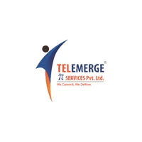 Telemerge IT Services