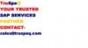 Truspeq Consulting Pvt Ltd.