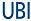 UBI Services
