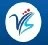 VLS Consulting LLP