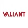 Valiant Communications Ltd.