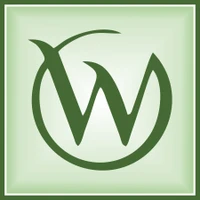Web Mingo IT Solutions Pvt Ltd