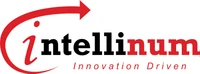 INTELLINUM SOLUTIONS