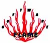 Software Flame