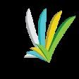 TICKMARKS TECHNOLOGY AND RISK CONSULTING PRIVATE LIMITED