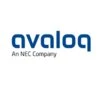 null logo