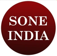 null logo