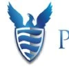 null logo