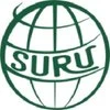 null logo