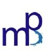 null logo